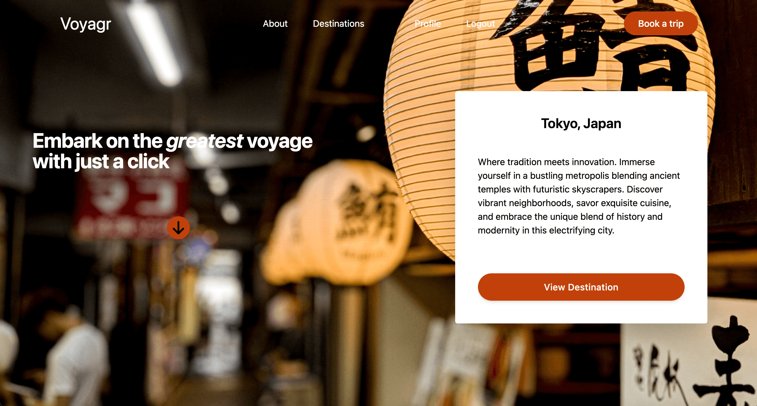 Travel website homepage